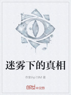 迷雾下的真相在线阅读