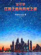 宝可梦:红莲之心与月光之翼在线阅读