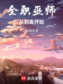全职巫师:从割麦开始 cover