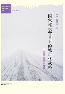 国家建设背景下的城市化战略：中美两国的经验