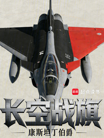长空战旗（王礼）在线阅读