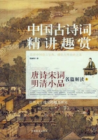 中国古诗词精讲趣赏在线阅读