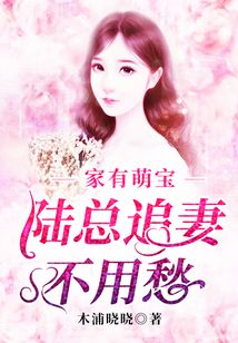 家有萌寶：陸總追妻不用愁
