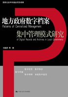 地方政府数字档案集中管理模式研究（国家社会科学基金项目成果）