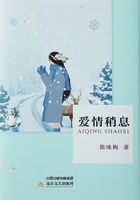 愛情稍息在線閱讀