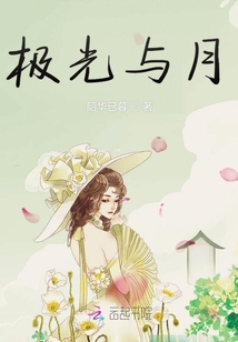 極光與月