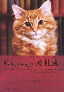 小貓杜威