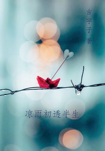 半生风雨落