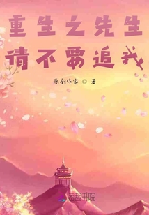 重生之先生請不要追我