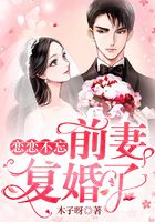 恋恋不忘:前妻,复婚了
