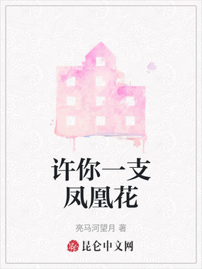许你一支凤凰花在线阅读