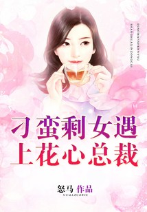 刁蠻剩女遇上花心總裁