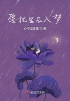 愿枕星辰入梦在线阅读