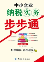 中小企业纳税实务步步通(实战详解版)在线阅读