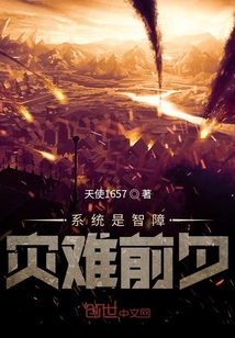 系統是智障災難前夕