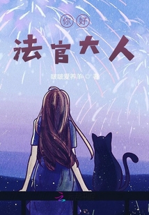 你好，法官大人