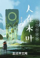 人在木叶
