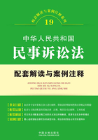 中华人民共和国民事诉讼法配套解读与案例注释（配套解读与案例注释系列）