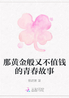 那黃金般又不值錢的青春故事在線閱讀