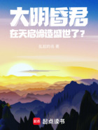 大明：昏君在天启缔造盛世了？在线阅读