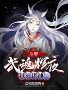 斗罗：武魂辉夜，弑灭诸神！在线阅读