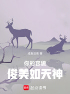 你的容貌俊美如天神在线阅读