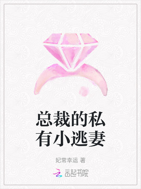 总裁的私有小逃妻在线阅读