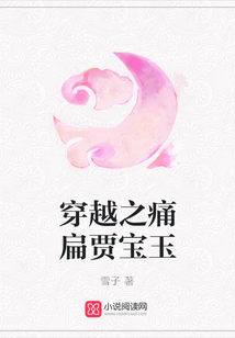 穿越之痛扁賈寶玉