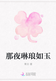 那夜琳瑯如玉