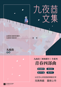 九夜茴文集：青春四部曲