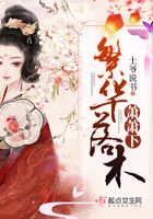 繁華落木蕭蕭下在線閱讀
