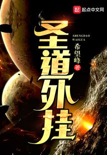 圣道外挂