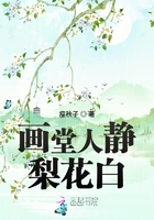 畫堂人靜梨花白在線閱讀