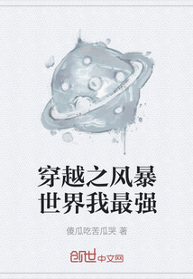 穿越之风暴世界我最强