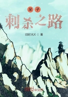 呆子刺殺之路在線閱讀