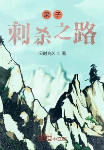 呆子刺殺之路