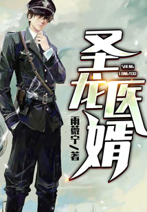 圣龍醫婿