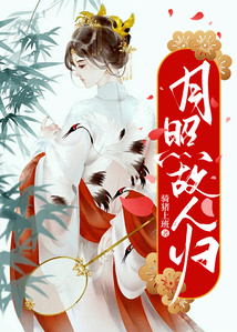 月照故人歸