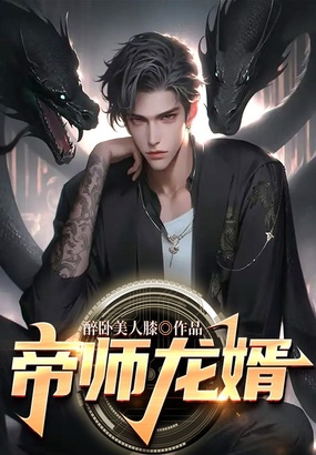 帝师龙婿在线阅读