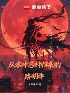 龙族:从木叶忍村归来的路明非在线阅读