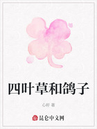 四叶草和鸽子在线阅读