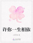许你一生相依在线阅读