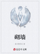 砌墻在線閱讀