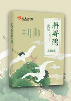 孤云將野鶴在線閱讀