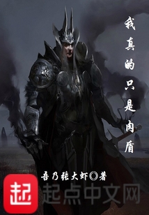 我真的只是肉盾