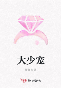大少寵