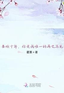 喜欢十年，你是我唯一的再也不见