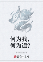 何为我,何为道?在线阅读