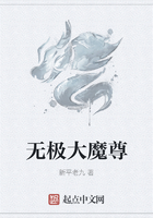 无极大魔尊在线阅读