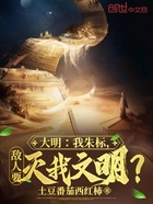 大明:我朱标,敌人要灭我文明?在线阅读